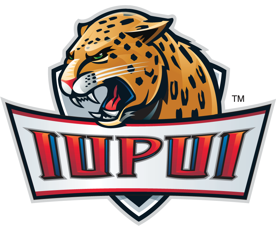 IUPUI Jaguars 2007-2017 Alternate Logo v2 iron on transfers for clothing